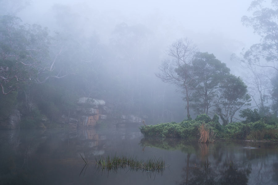 Fog rolling over a landscape